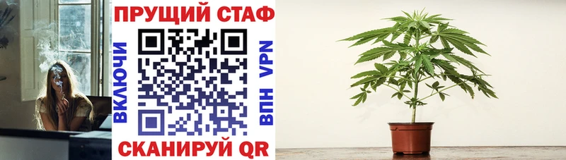 Каннабис Новопавловск