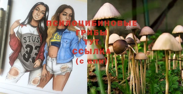 прущая мука Абаза