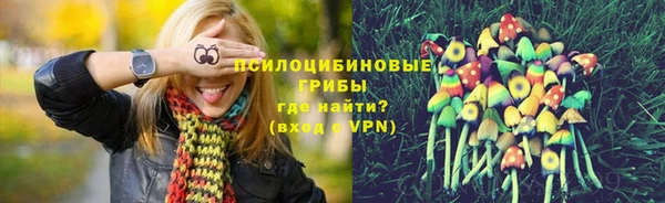 spice Алексеевка