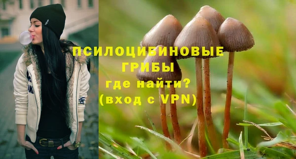 мет Алзамай